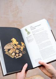 Books Beneath Our Feet: Everyday Discoveries Reshaping History