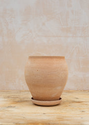 Delphi Rosa Pot and Saucer Set, 20cm