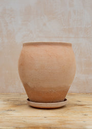 Delphi Rosa Pot and Saucer Set, 26cm