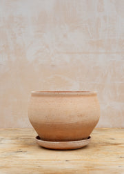 Delphi Rosa Pot and Saucer Set, Low 24cm