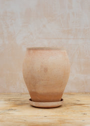 Burford Garden Co. Delphi Rosa Pot and Saucer Set, Tall 22cm