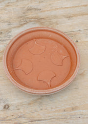 Bergs Potter Fleur Rosa Pot and Saucer Set, 25cm