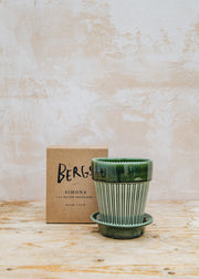 Bergs Potter Simona Emerald Green Glazed Pot and Saucer Set, 14cm