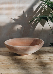 Rosa Ada Planting Bowls