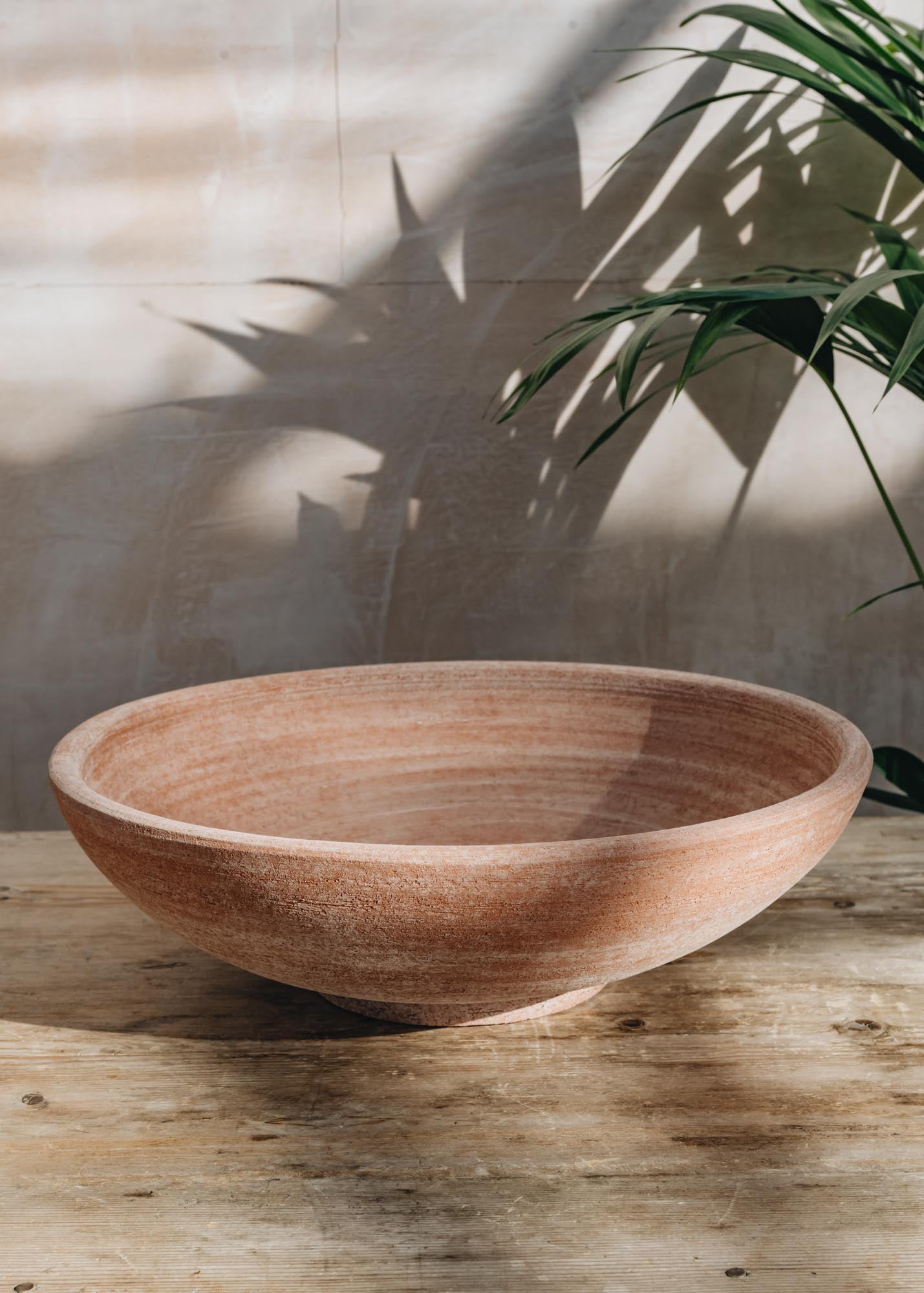 Rosa Ada Planting Bowls