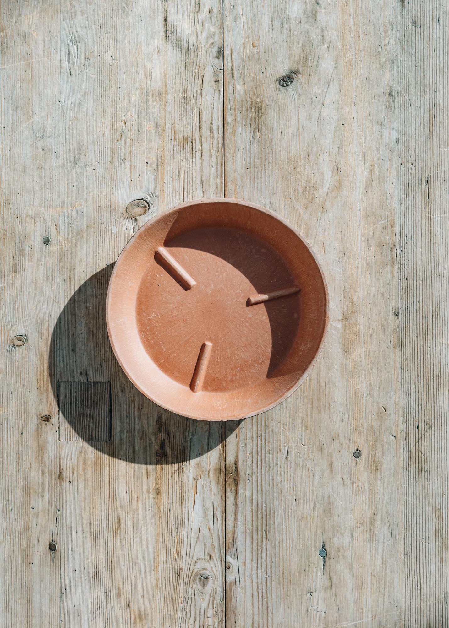 Bergs Potter Rosa Julie Saucers