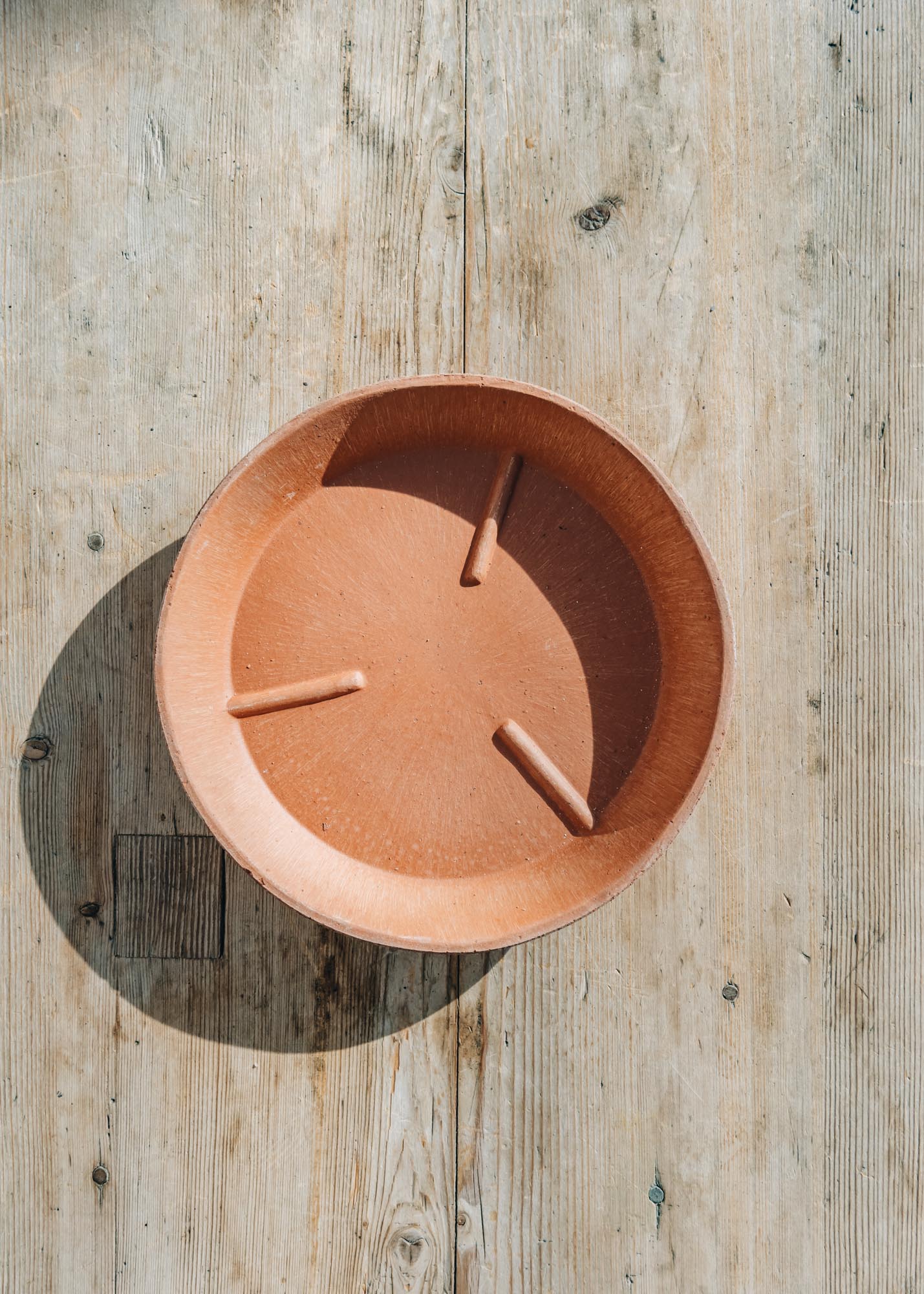 Bergs Potter Rosa Julie Saucers