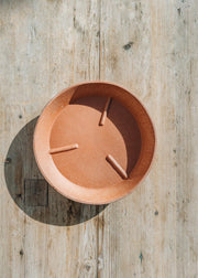 Bergs Potter Rosa Julie Saucers