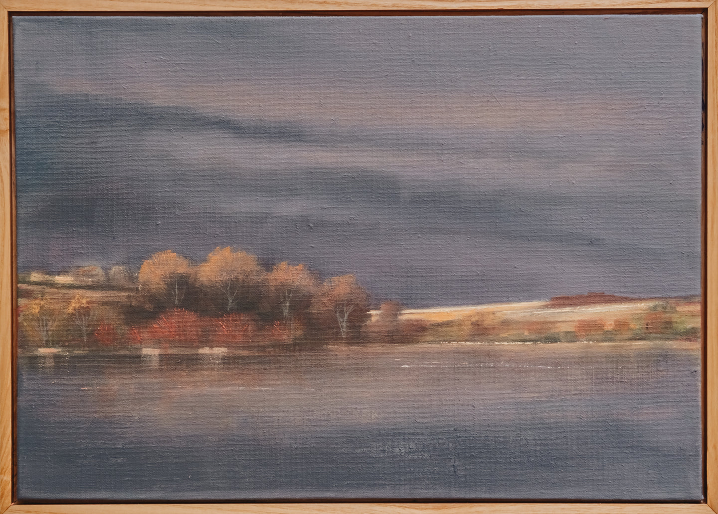 Dogwoods Across The Lake
