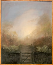 Forest Track Dawn
