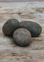 Taylors Bulbs Potato 'Blue Danube’