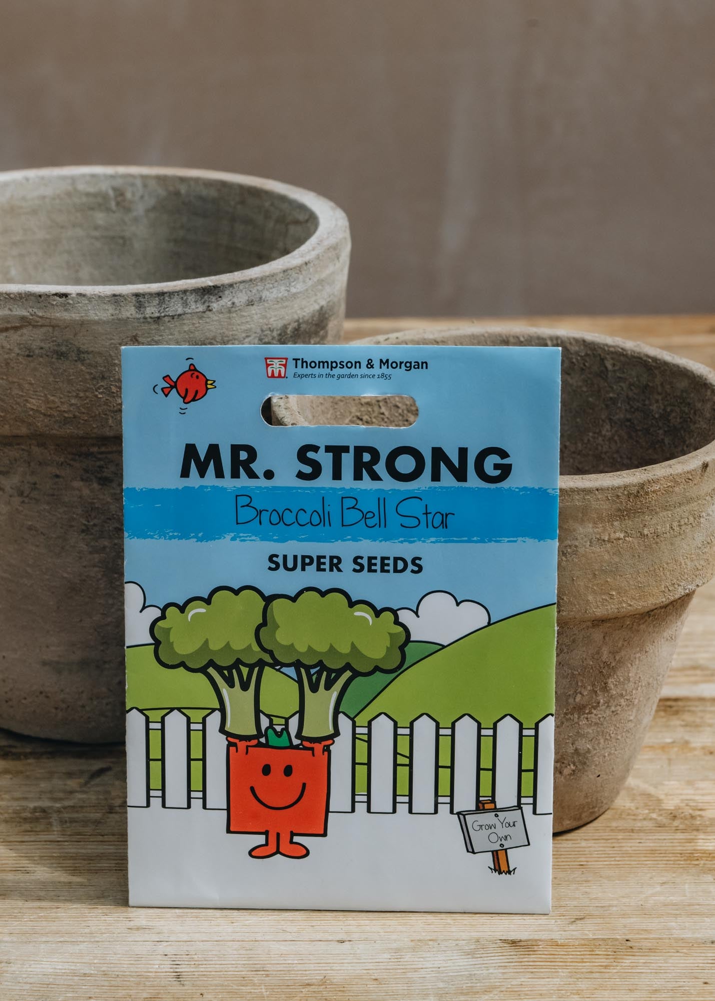 Mr. Strong Broccoli Bell Star Seeds