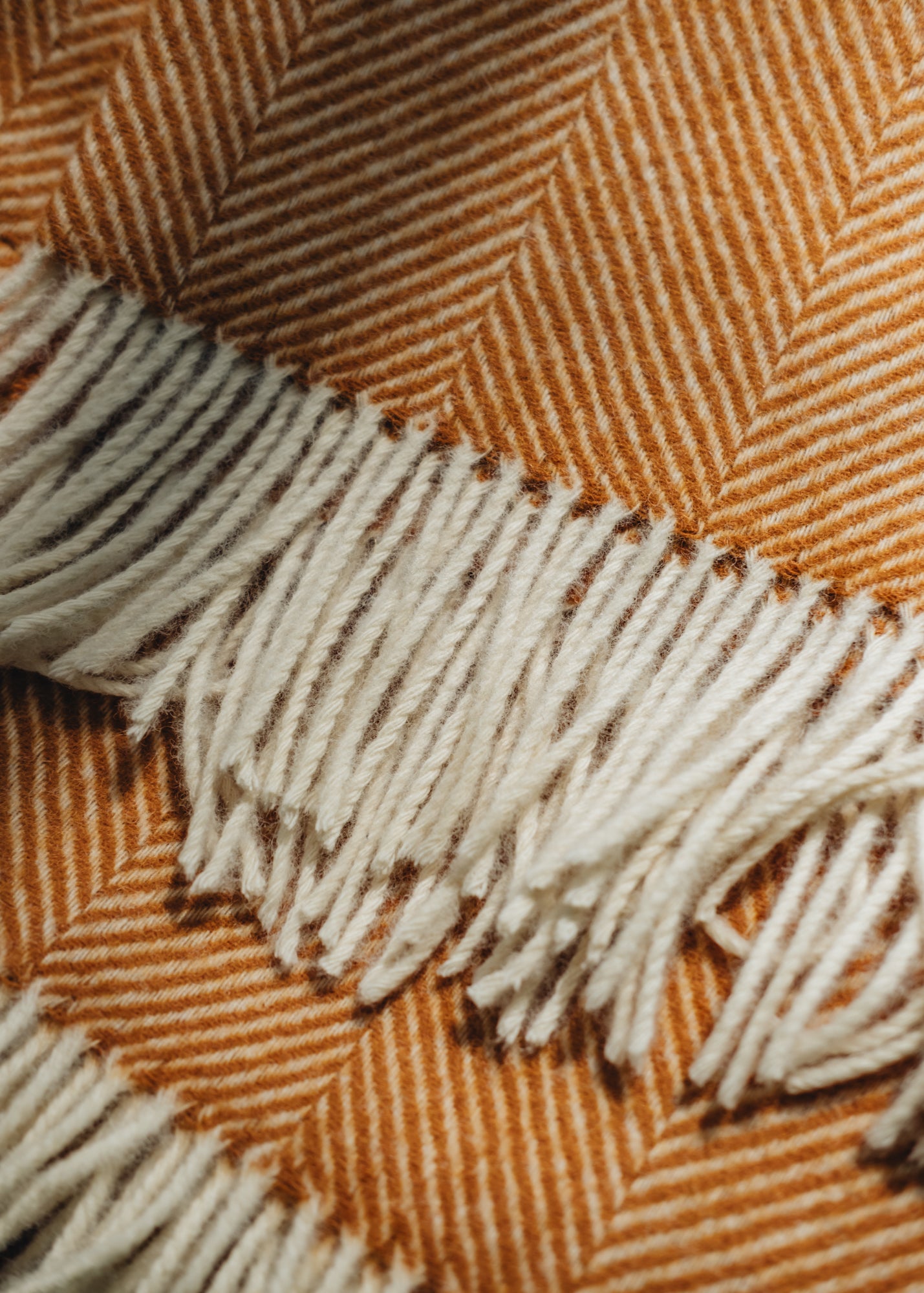 Bronte Moon Herringbone Throw in Pumpkin Spice