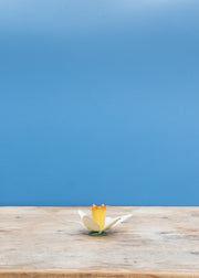 Bungalow Daffodil Head Candle Holder in Straw, 7cm