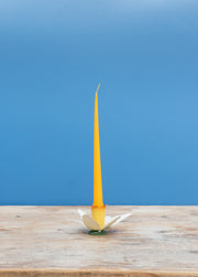Bungalow Daffodil Head Candle Holder in Straw, 7cm