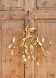 Golden Mistletoe, 18 stems