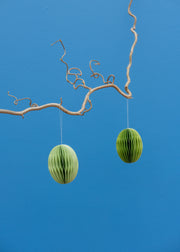 Medium Swirl Egg Paper Decoration in Sage, pack of two