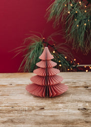 Coral Paper Tree