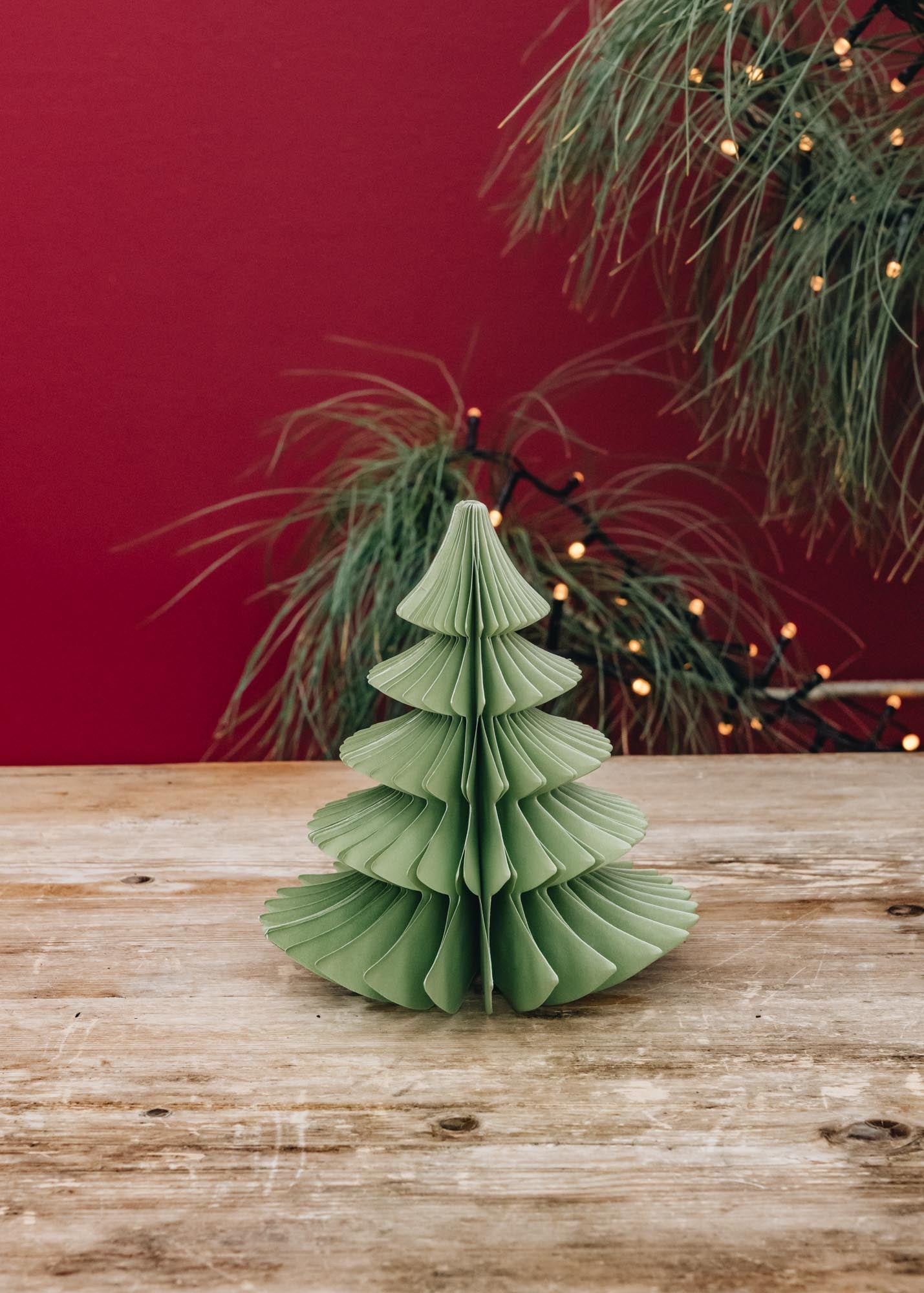 Small Ming Paper Tree