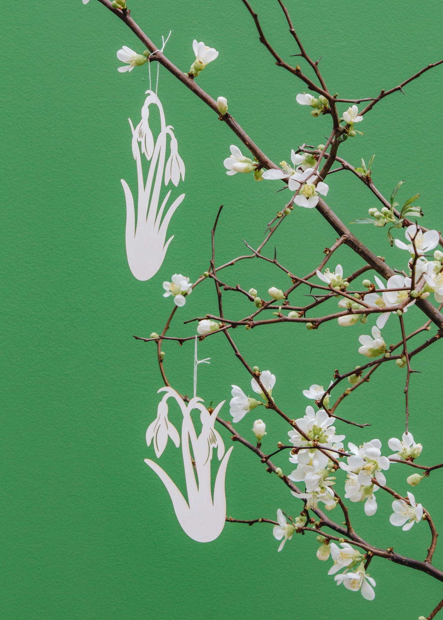 Snowdrop Paper Decoration in Off White, set of two