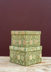 Tara Fern Cubic Gift Box Set