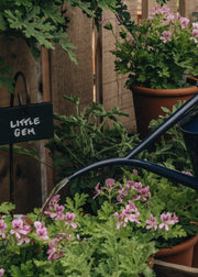 Wilstone Wooden Plant Label on Metal Stake