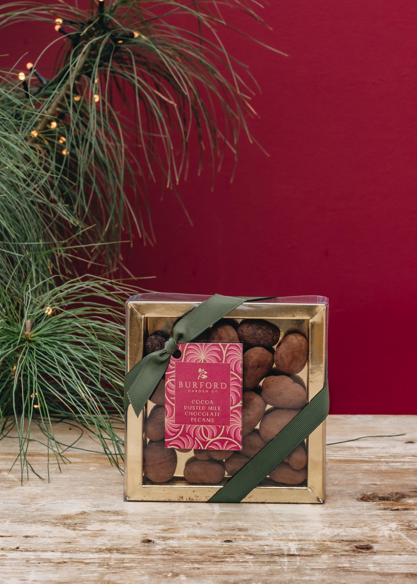 Burford Design Cocoa Dusted Chocolate Pecans