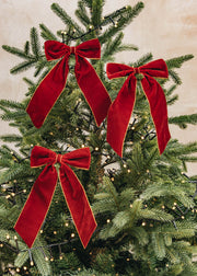 Burford Garden Co. Bordeaux Velvety Gold Edged Bows, set of three