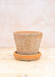 Books Terracotta Pot, 16x12cm