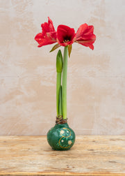 Houseplants Burford Garden Co. Hand Painted Green Wax Amaryllis