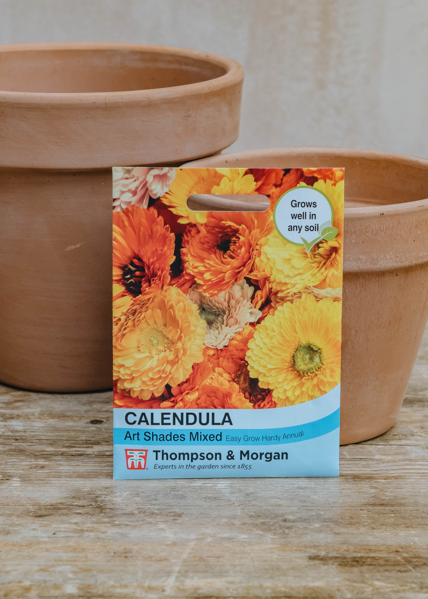 Seeds of Italy Calendula Art Shades Mixed Seeds