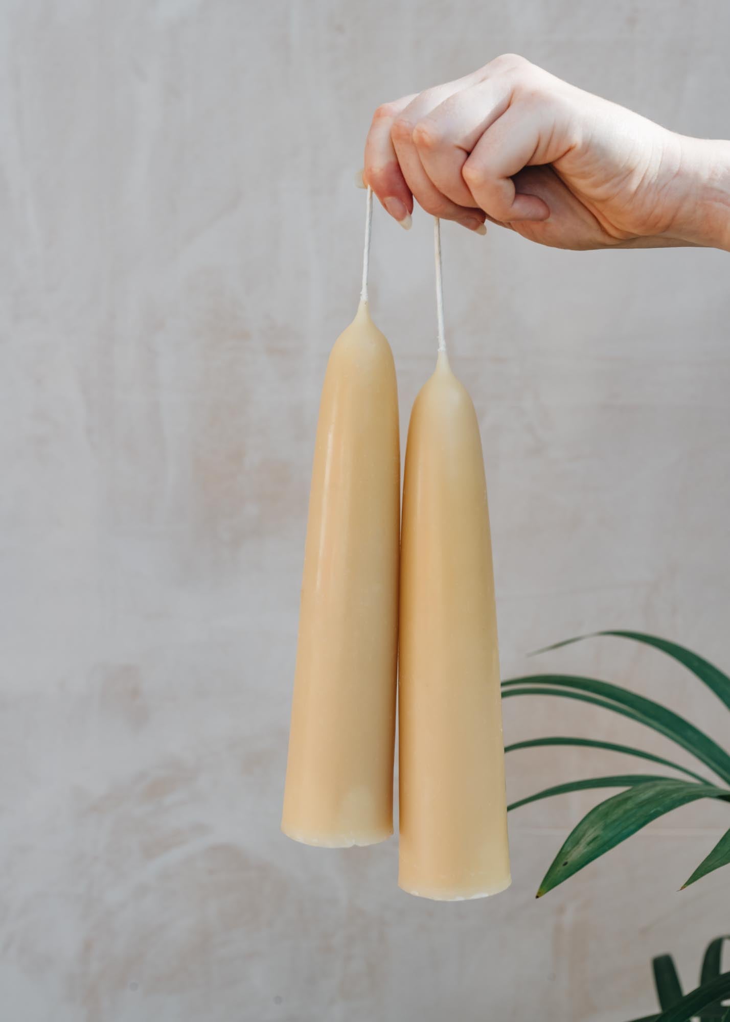 Giant Stubby Beeswax Candle Pair, pack of one