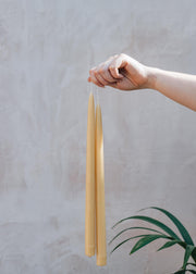 Long Standard Beeswax Candle Pairs, pack of six