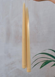 Long Standard Beeswax Candle Pairs, pack of six