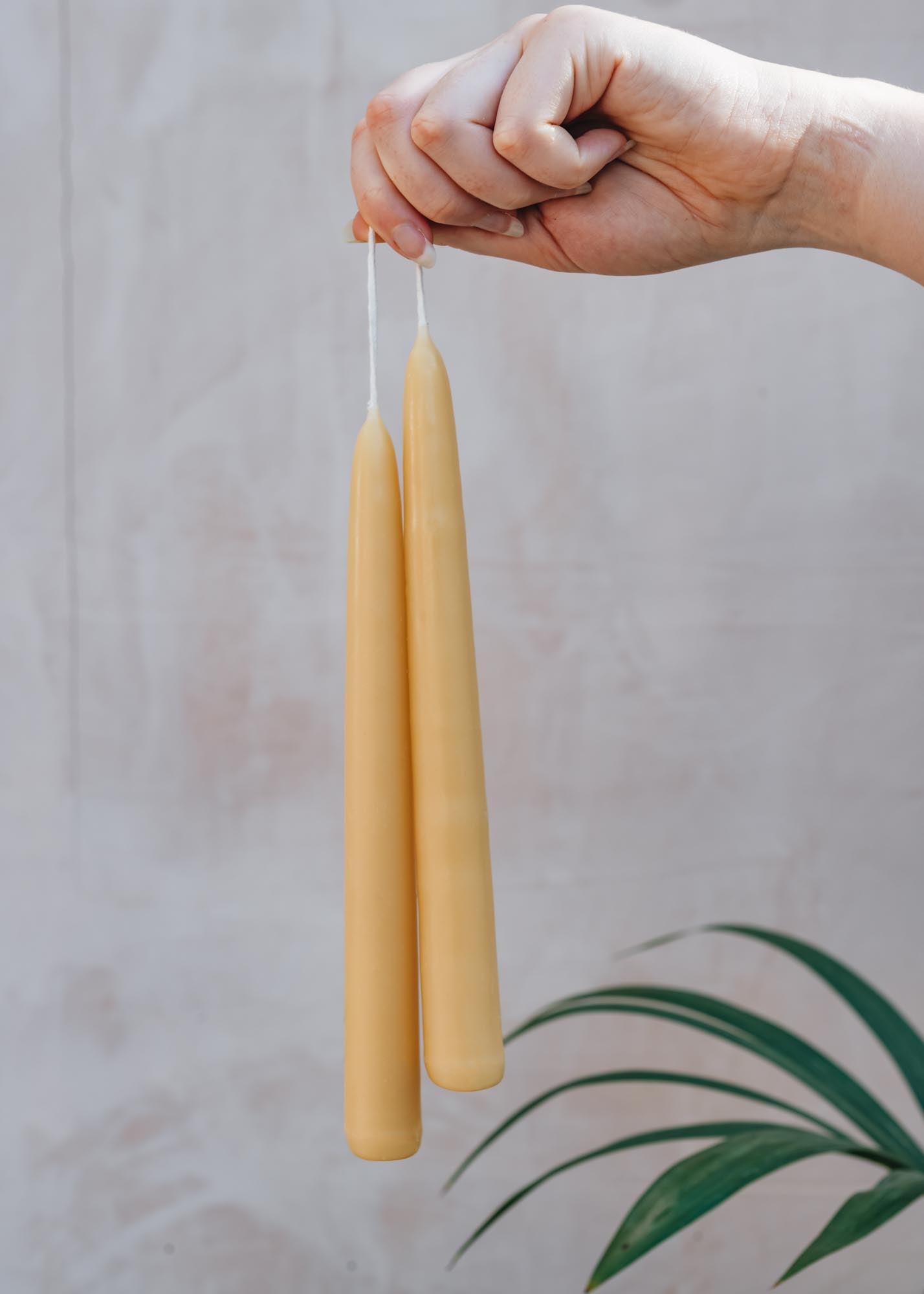 Skär Organics Standard Beeswax Candle Pairs, pack of three
