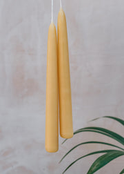 Standard Beeswax Candle Pairs, pack of six