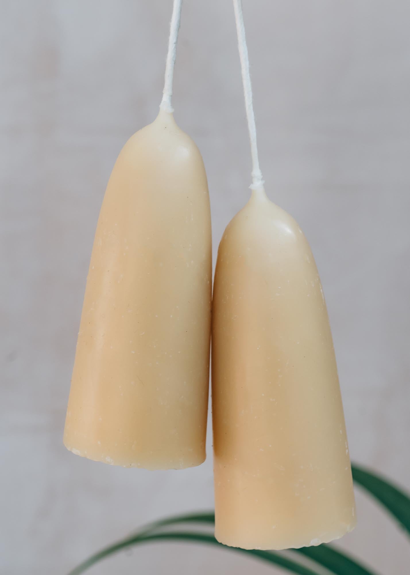 Stumpie Beeswax Candle Pairs, pack of three