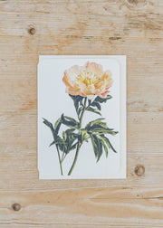 Canonbury Press Peony Greetings Card