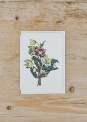 Canonbury Press Posy of Hellebores Greetings Card