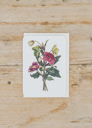Canonbury Press Posy of Hellebores and Scabious I Greetings Card
