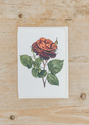 Canonbury Press Red Rose Greetings Card