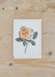 Canonbury Press Soft Peach Rose Greetings Card