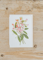 Canonbury Press Pink Sweet Peas Greetings Card