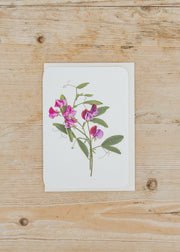 Canonbury Press Violet Sweet Peas Greetings Card