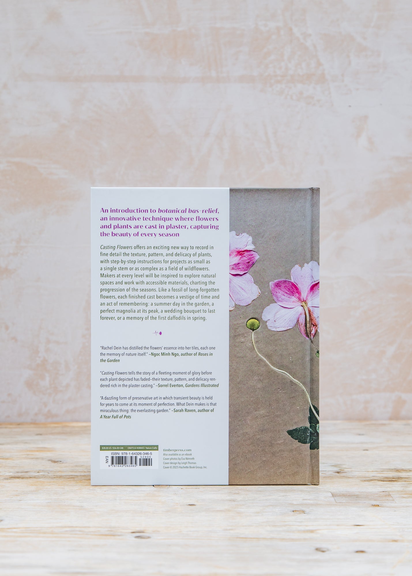 Books Casting Flowers: A Step-by-Step Guide to Creating Beautiful Botanical Art