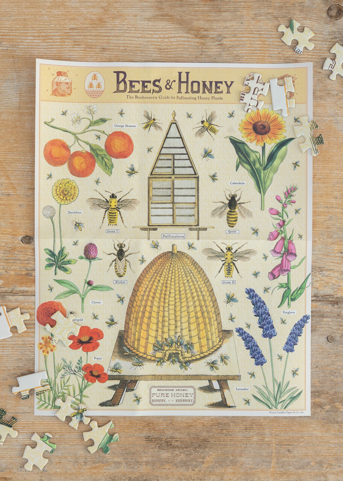 Cavallini & Co. Bees and Honey Puzzle, 1000 pieces