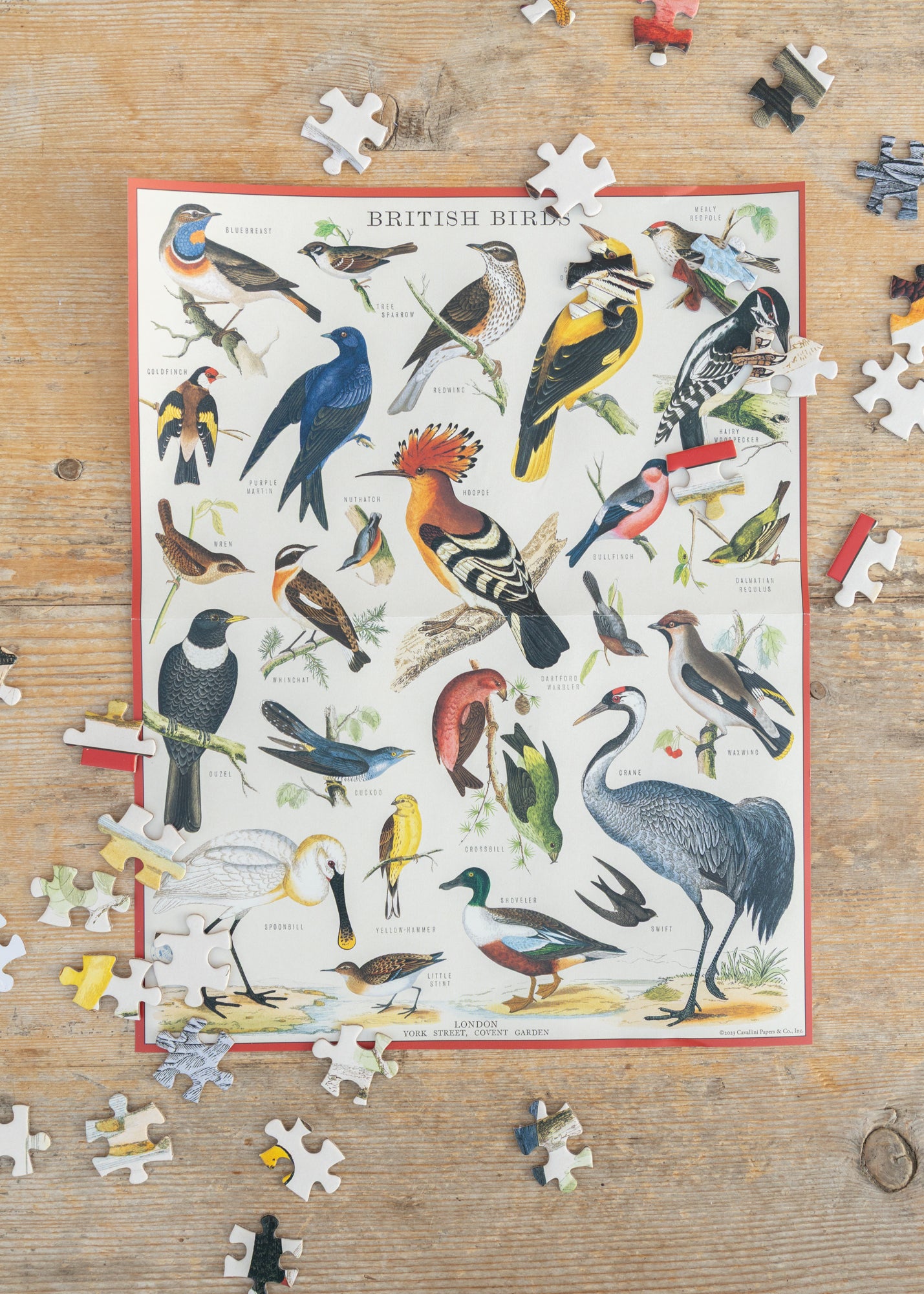 Cavallini & Co. British Birds Puzzle, 1000 pieces
