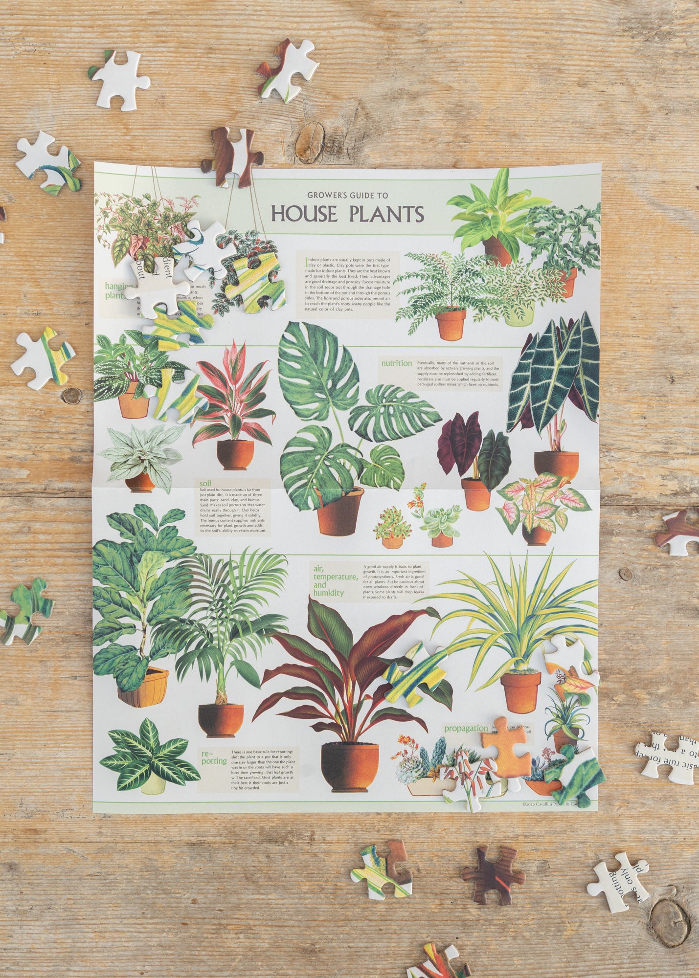indoor plants puzzle Cavallini & Co. Houseplants Puzzle, 1000 pieces – Burford Garden Co