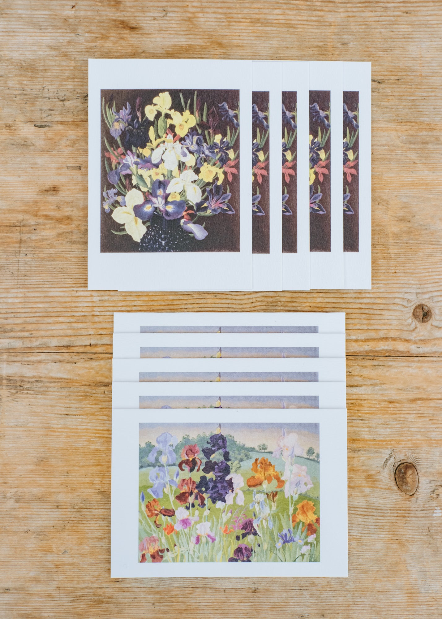 Art Angels Cedric Morris, 'Group of Irises c.1940' and 'Several Inventions' Printed Notecards, pack of ten