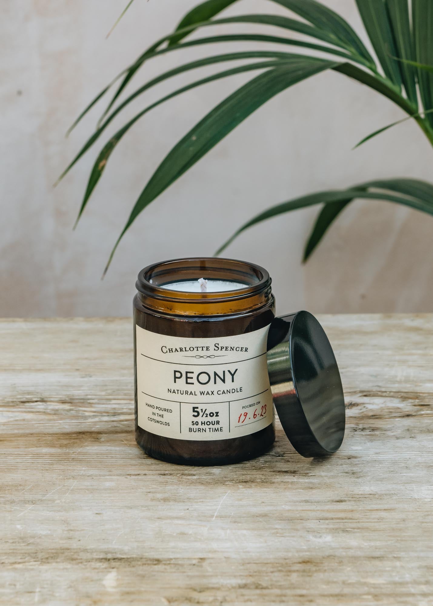 Charlotte Spencer Scented Candle in Peony, 5.5oz